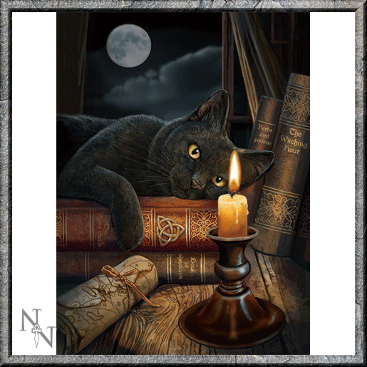 Blackcat looking at candle by Lisa parker
