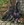 black cat with witches hat and mouse