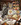cats reading tealeaves